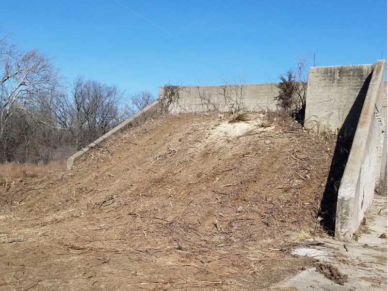 A site after mulching